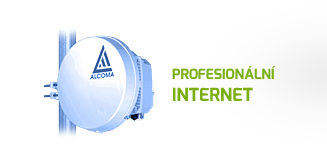 Profesionalní internet